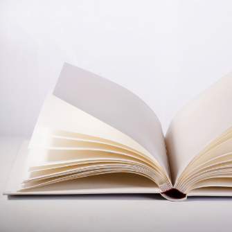 知的財産関連業務（知財戦略策定・権利取得） 